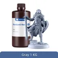 Anycubic Standard Harz V2 405 nm UV für Photon Mono 1 kg – Farbe 1kg V2 Gray