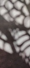 Kundenbewertungen – Bimetall-Düse 0,2 bis 0,6 mm für Anycubic Kobra X Combo