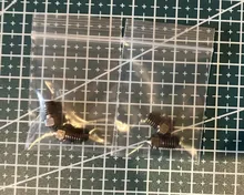 Kundenbewertungen – V6 Düse gehärtete Stahldüse 0,2 bis 1 mm für Ender 3 Prusa I3