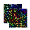 Creality K2 K2 Pro Bauplatte PEI PEO PET PEY – Farbe Stars-Flake