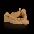 Dental-Gießharz 405nm 1kg für Dentalmodelle – 6