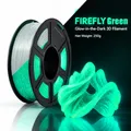 Leuchtendes PLA Filament 1,75mm 250g bis 1kg im Dunkeln – Farbe Firefly Green 250g