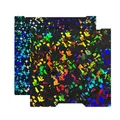 PEI Bauplatte für Bambu Lab H2D H2C doppelseitig magnetisch – Farbe Flake-Stars no base