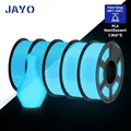 PLA Filament Leucht im Dunkeln 5 Rollen 1,75 mm – Farbe PLA Blue